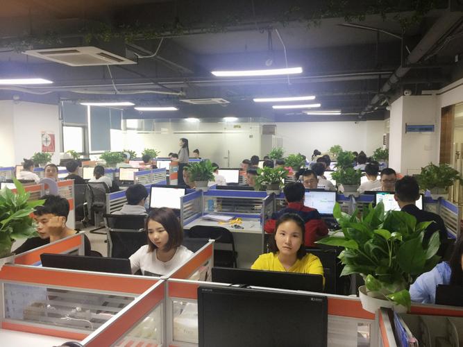 工商信息企业名称 深圳市信德盛金融服务法人代表 周丽霞成立